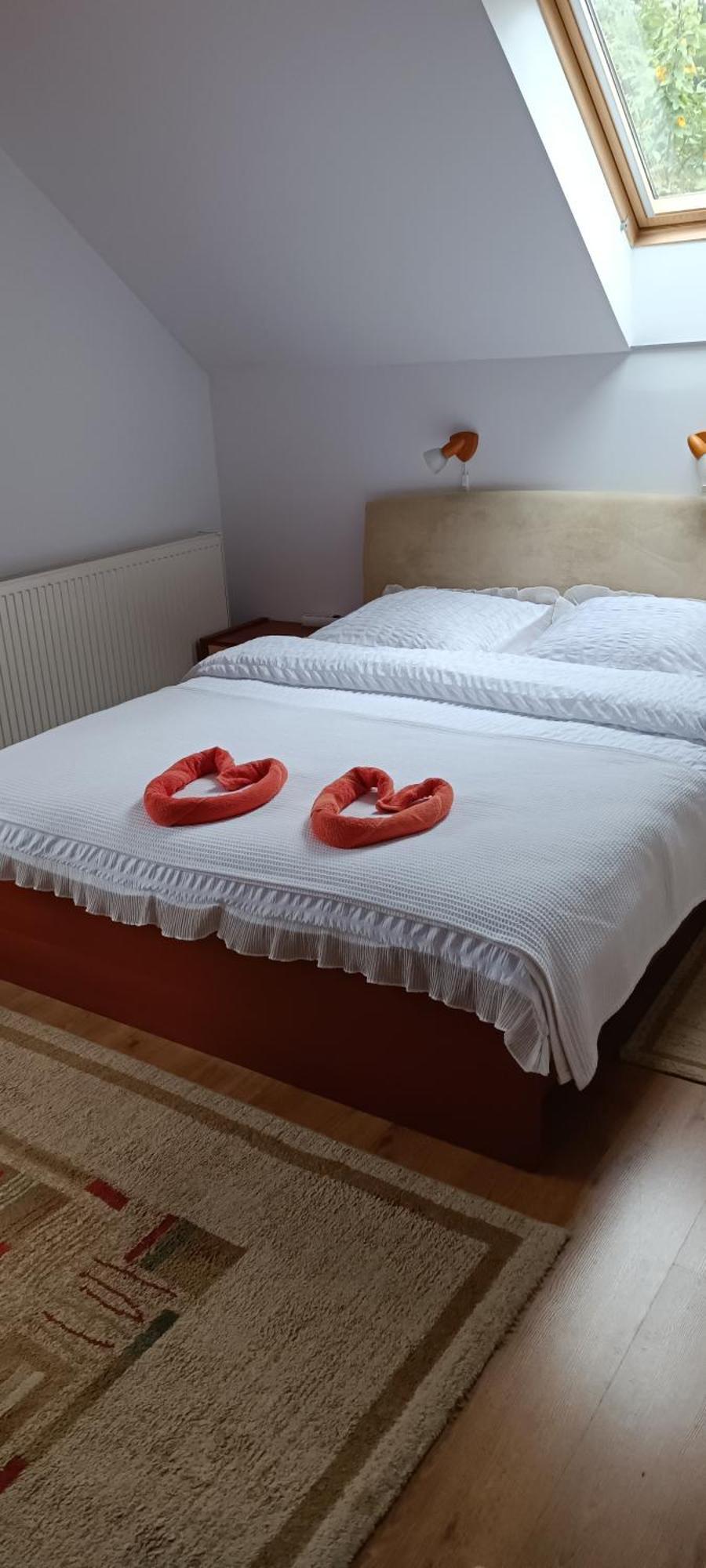 Pasager House Apartment Sovata Luaran gambar