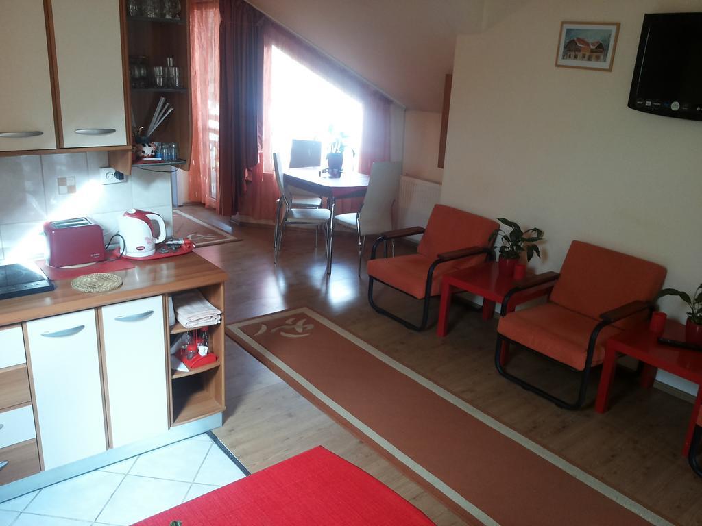 Pasager House Apartment Sovata Luaran gambar