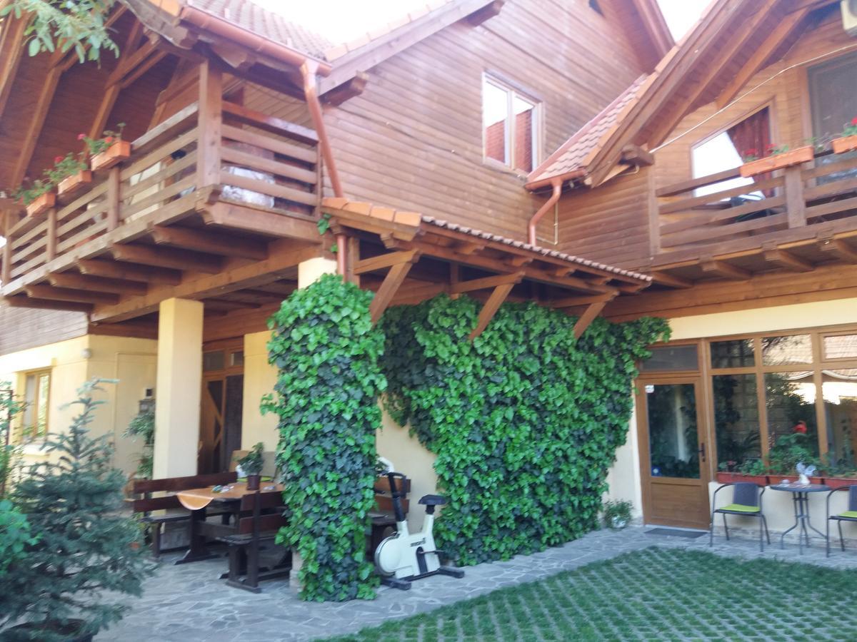 Pasager House Apartment Sovata Luaran gambar