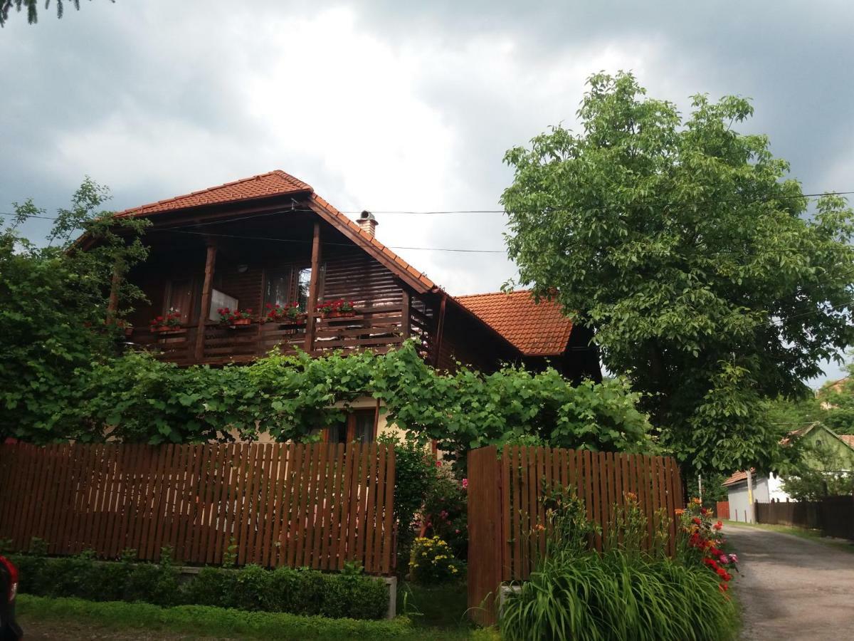 Pasager House Apartment Sovata Luaran gambar